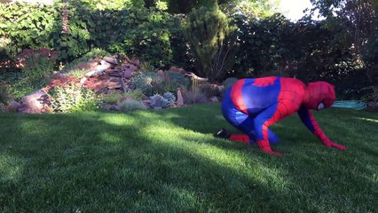 Frozen Elsa & Spiderman Make Lots Of Cookies vs Joker Prank Fun Superhero Kids In Real Life In 4K