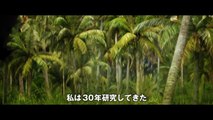 Kong - Skull Island International Trailer #1 _ Movieclips Trailers-cdNCxOiL6IA