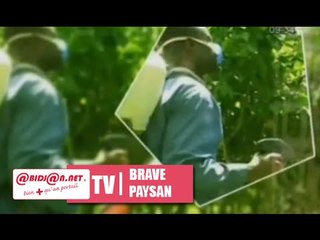 Brave paysan du dimanche 4 janvier 2015 (2e partie)