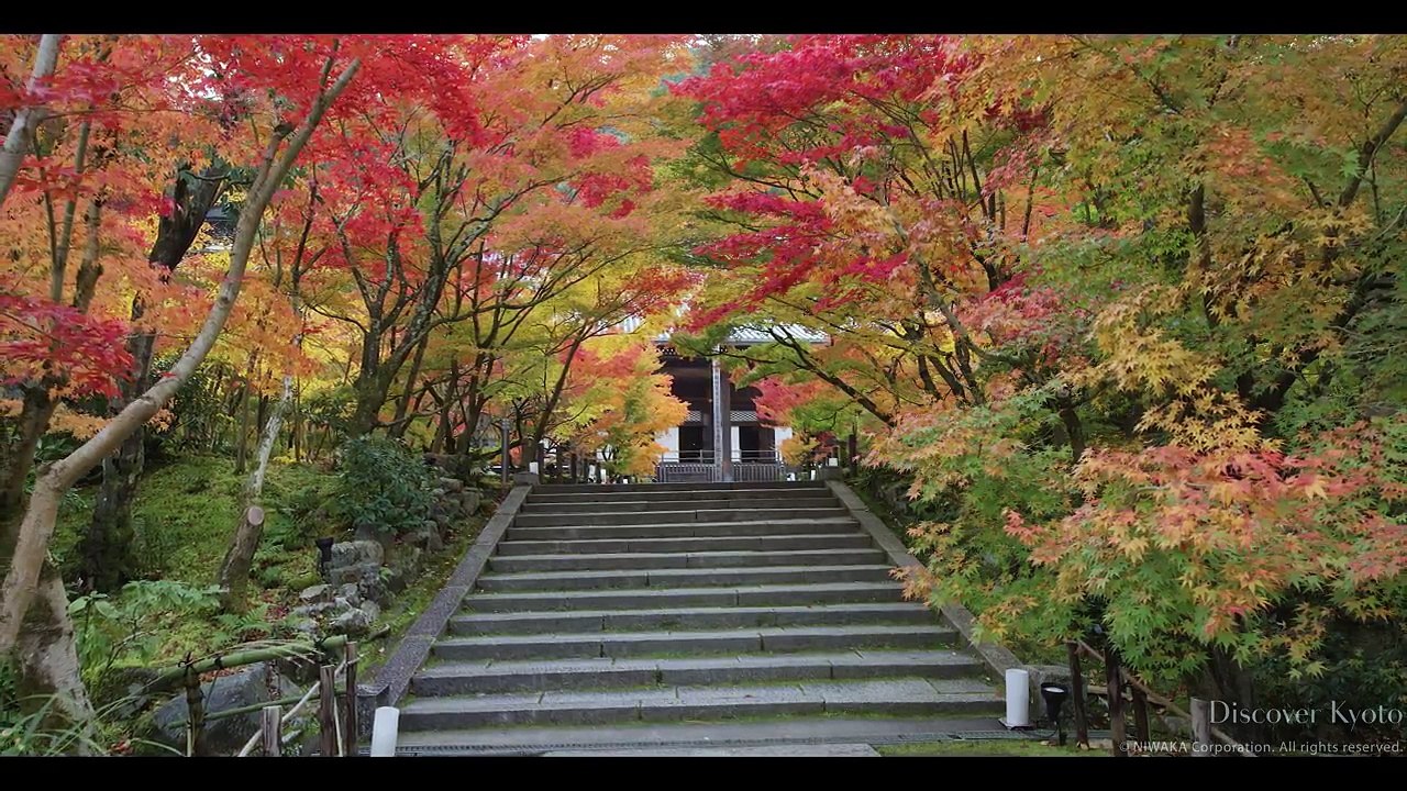 Beautiful Kyoto - Autumn