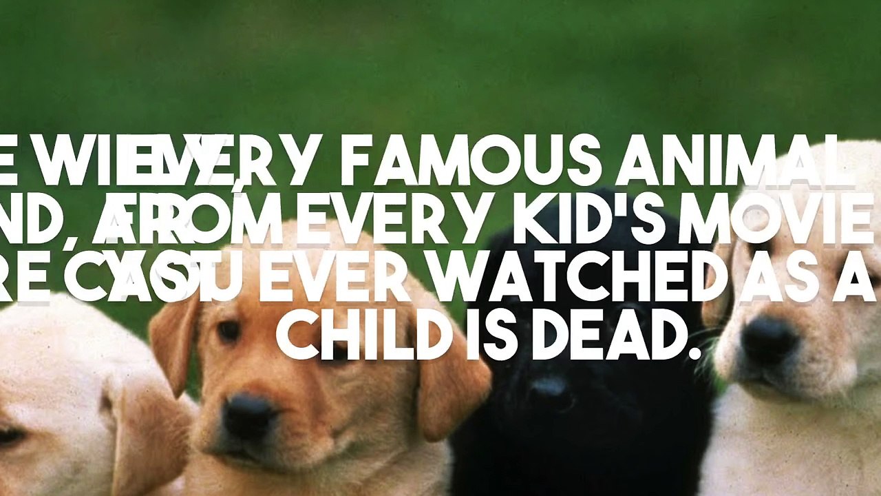 10 Facts That Will Ruin Your Childhood!-t-Pui5DUJkc