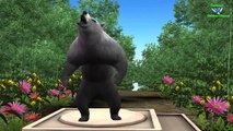 Finger Family Bear Family Rhymes | Animals Cartoon Finger Family Rhymes For Cartoon Rhymes