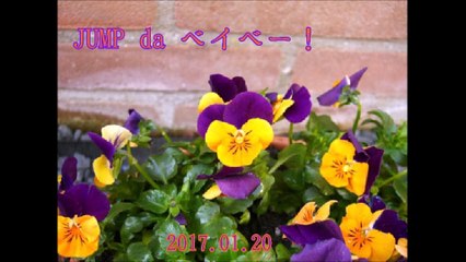 JUMP da ベイベー！#20170120