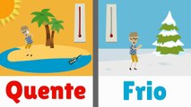 Opposites in PORTUGUESE | Opposite Words | Portuguese Language | Learn Portuguese | Brazil Language