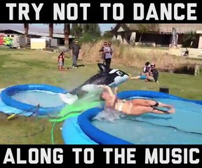 Move It, Groove It 🎶