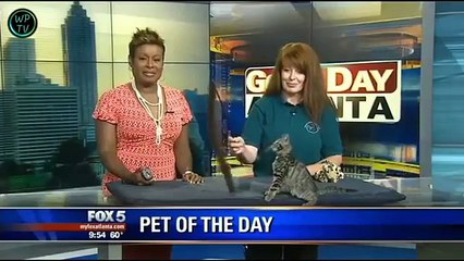 Funny videos Fails Wins compilation July 2015 #6