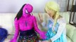 Pink Spidergirl loses her legs! w/ Frozen Elsa, Blue Spiderman, Joker girl, bad baby joker baby