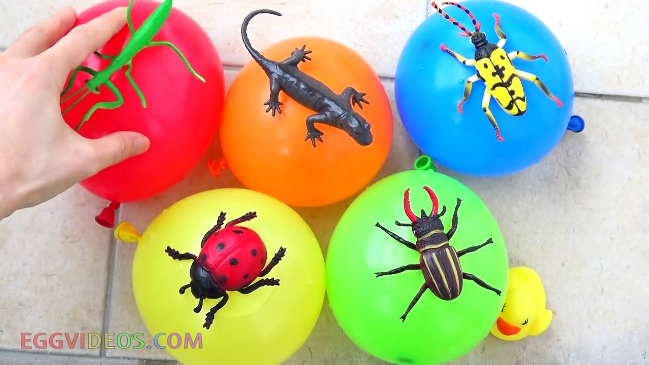 Finger Family Insects Water Wet Balloons Learn Colors Nursery Rhymes Songs for Babies EggVideos.com-oqJrSDM8Neg