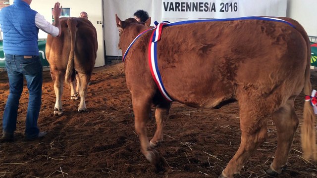 Notre 1er prix d'ensemble lors du défilé à Varennes sur Allier en octobre 2016