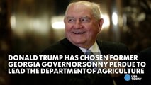 Sonny Perdue tapped for agriculture secretary-6nZWEtLsQek