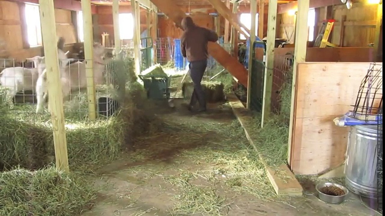 Cet agriculteur qui danse sur du Sia est en train de devenir une véritable star du web