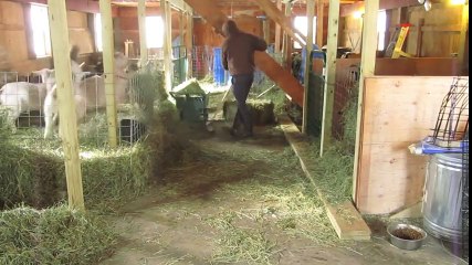 Cet agriculteur qui danse sur du Sia est en train de devenir une véritable star du web