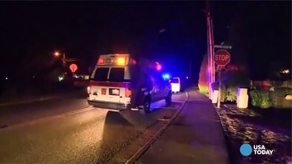 Repeat felon arrested in shooting of Washington officer-wC4dPYMsXcQ