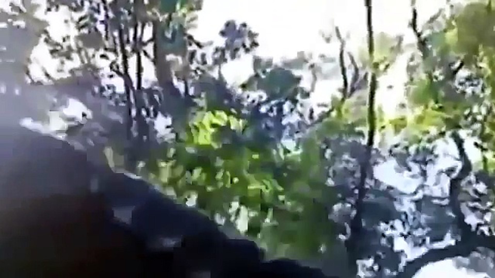 Приколы 2015 Лучшие Приколы Смешное Видео