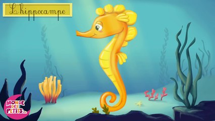 Apprendre les animaux aquatiques en français-FqqdSOWiG-Q