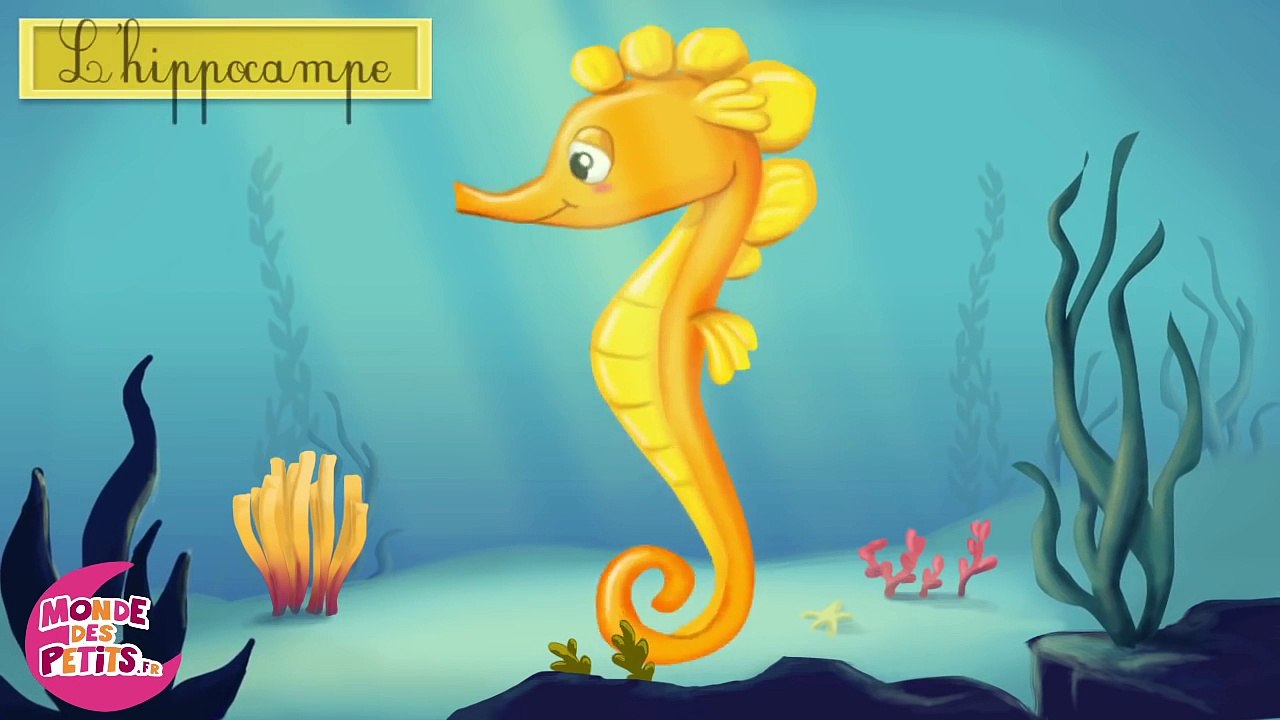 Apprendre les animaux aquatiques en français-FqqdSOWiG-Q