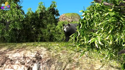 Finger Family Bear Family Rhymes _ Animals Cartoon Finger Family Rhymes for Children-e0jdzhqkmak