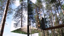 Une maison dans les arbres pour admirer les aurores boréales