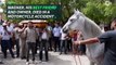 Heart-breaking moment horse cries at owner's funeral-dwhBzOCOdMs