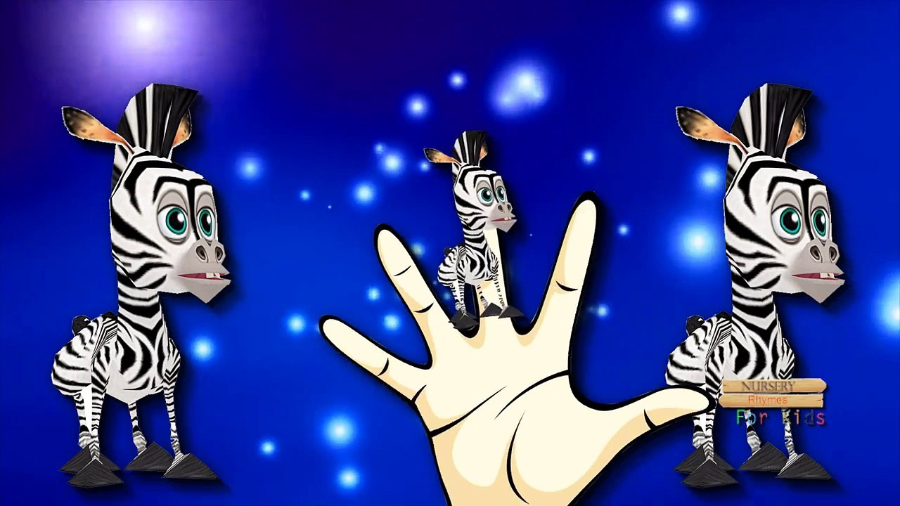 Zebra Cartoons Finger Family Rhymes For Children | Zebra Finger Family Children Nursery Rhymes