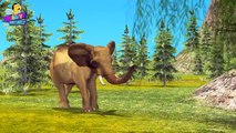 Finger Family Elephant Family Rhymes _ Animals Cartoon Finger Family Rhymes for Children-0cRZhI2UttA