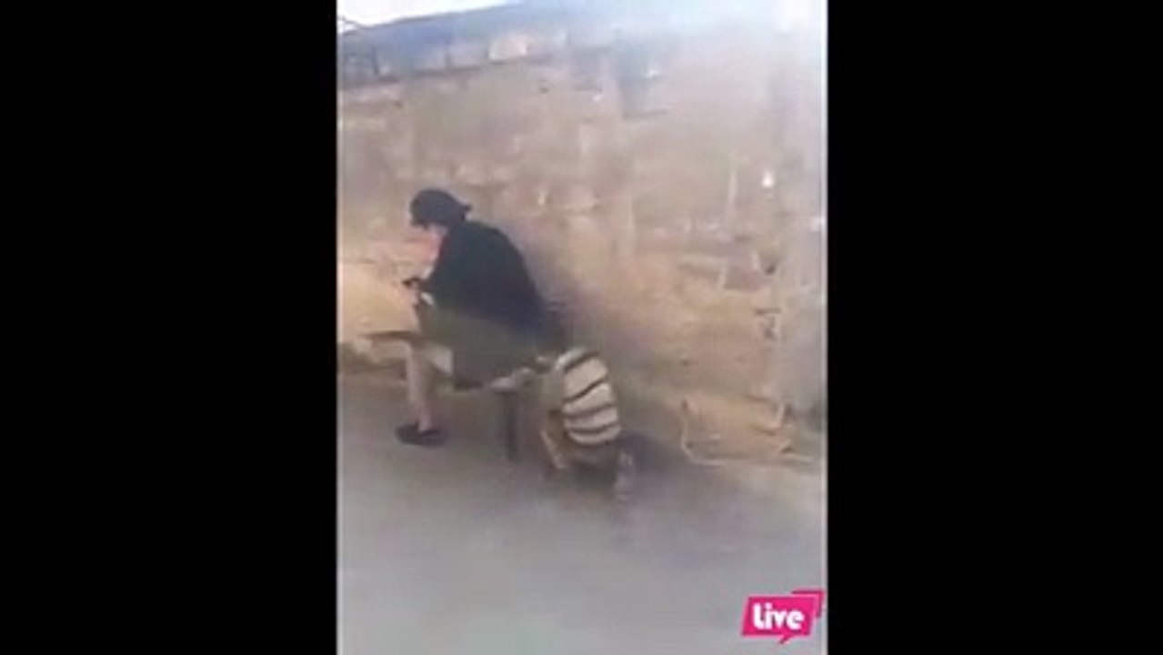 best funny video