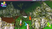 Finger Family Shark Family Nursery Rhyme 3D _ Animal Finger Family _ Fish Finger Family for Kids-IAqfm4PN1G8