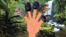 Finger Family Crazy Dinosaur Vs Crazy Gorilla | Animals Cartoons Finger Family Nursery Rhymes