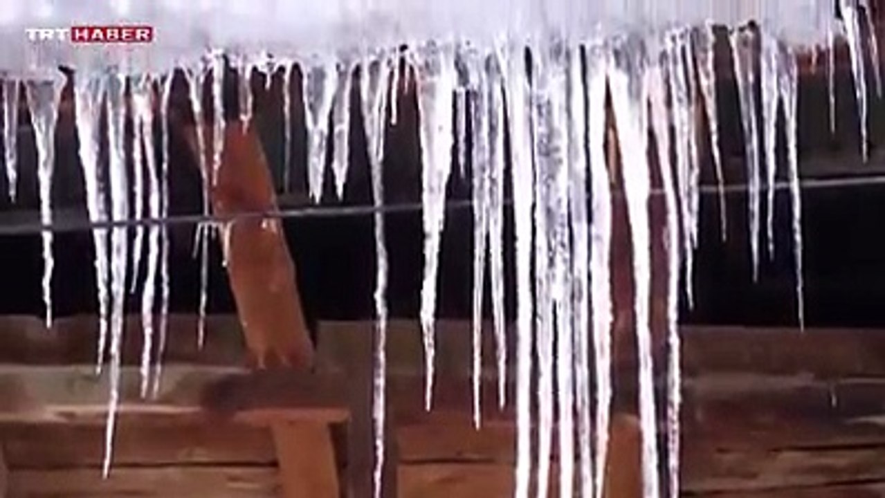 Bayburtlu Gençler Köy Yaşamını anlatıyor