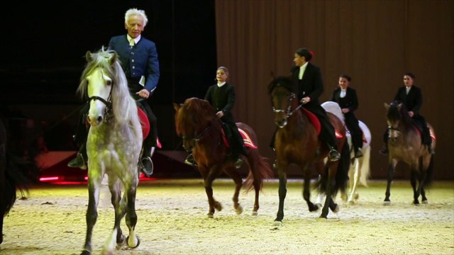 Le spectacle des artistes de Cheval Passion à Avignon