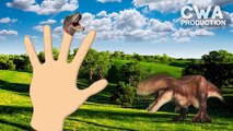 3D Dinosaurs Cartoons for Children | Dinosaur vs Dinosaur | Triceratops vs T-Rex