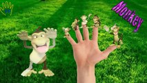 Finger Family Five Little Monkeys | English Children Nursery Rhymes | Finger Family Kids Songs