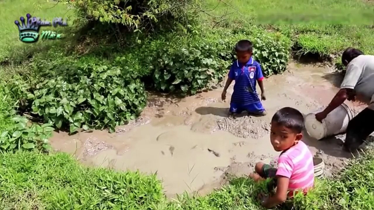 ไม่ได้คาดหวังว่าแอ่งน้ำขนาดเล็กปลาจำนวนมาก Cambodia fishing