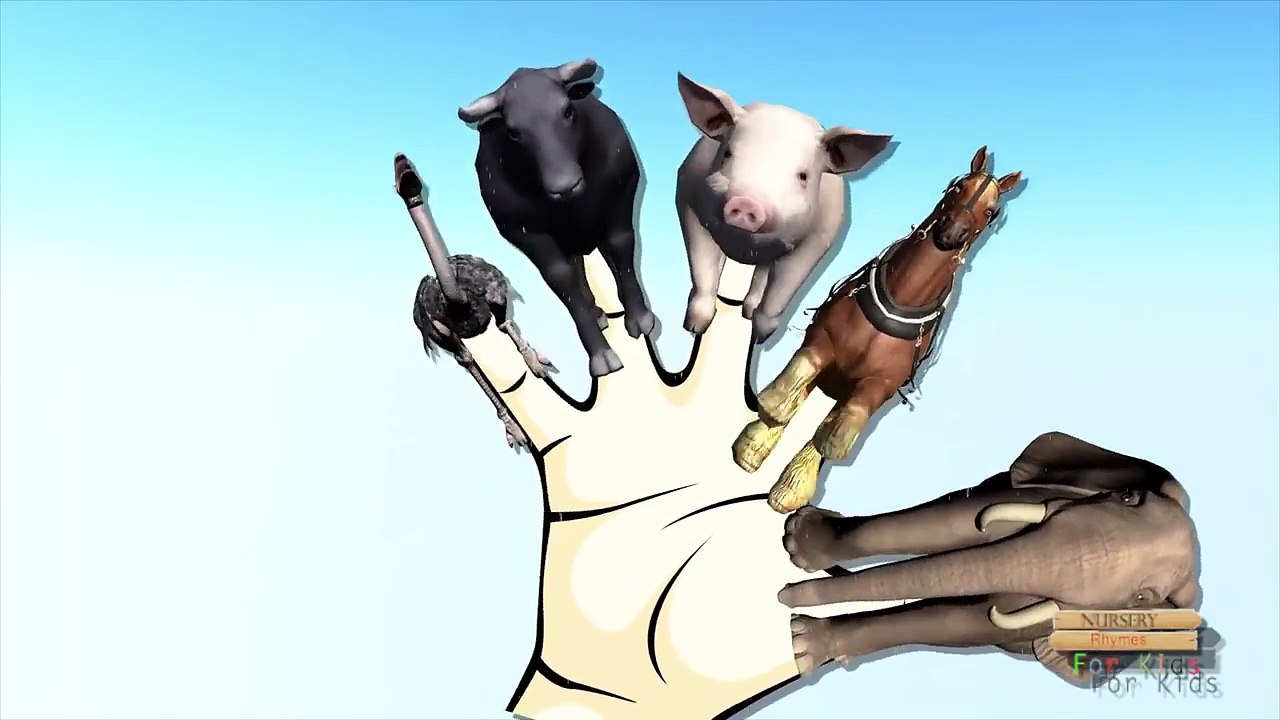 Animals Finger Family Nursery Rhymes | Elephant Pig Horse Finger Family Rhymes 3D Animation