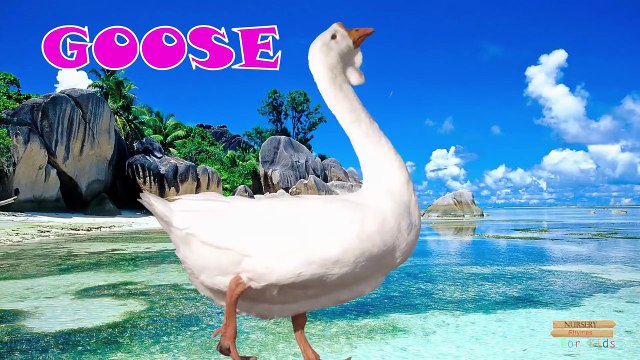 3Д Железный человек семья палец песня | обучение Домашние животные имена и звуки | замороженные Finger семья