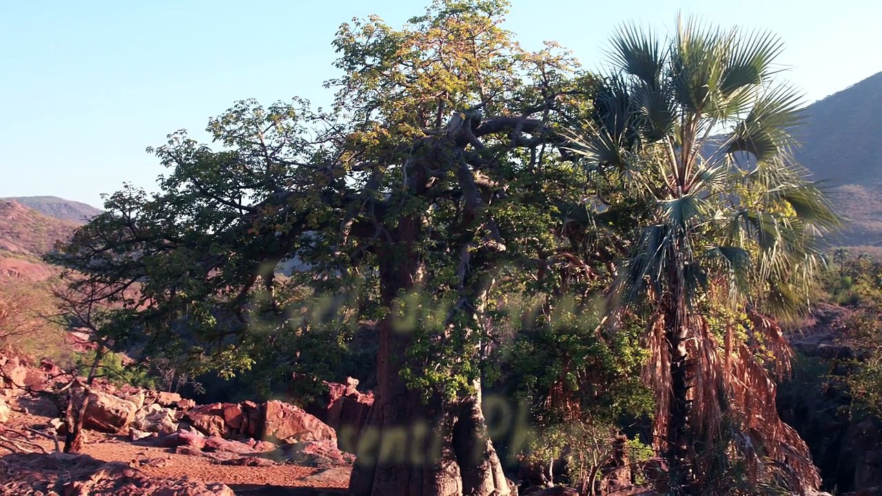 Interview LeZarts Zen - Yann Allignol