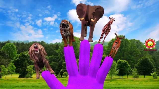 Animals Finger Family Nursery Rhymes For Children | Animals Cartoons Children Nursery Rhymes