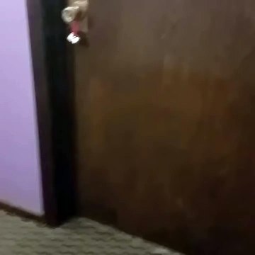 Stranger danger & Awareness for kids | Someone's knocking on the door | Stranger danger for kids