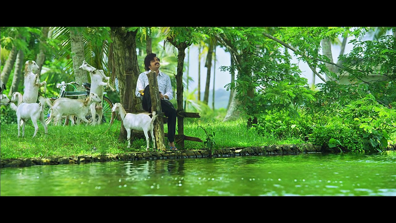 Basheerinte Premalekhanam  Penne Penne Song Video Farhaan Faasil,Sana Althaf Vishnu Mohan Sithara HD