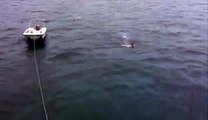 Hombre nada a pocos centímetros de un tiburón