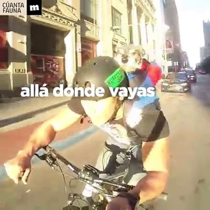 Esta mochila es ideal para que tu perro y tú vayáis a cualquier sitio juntos 3