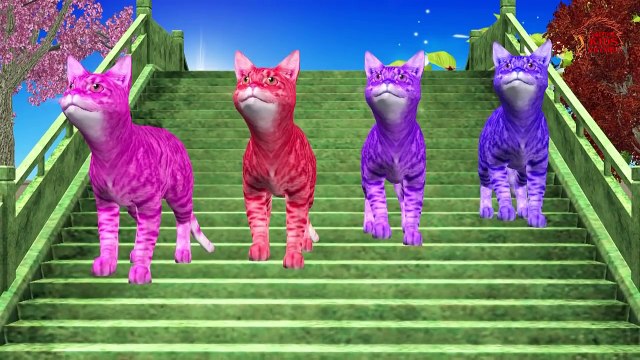 Цвет Песни Коллекция || Учиться ,Учить Цвета Для Малышей || Цвета Для Детей