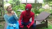 Spiderman & Pupple Spidergirl & Hulk & Blue Spiderman ! w/ The Stick of Frozen Elsa ! Fun Superhero