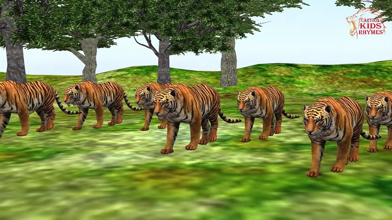Lion, Tiger & Gorilla, Bear, Cheetah Sounds And Names For Childrens | Cartoon Kids Rhymes