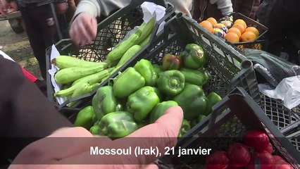 Sous l'EI, la vie était "un enfer" pour des habitants de Mossoul