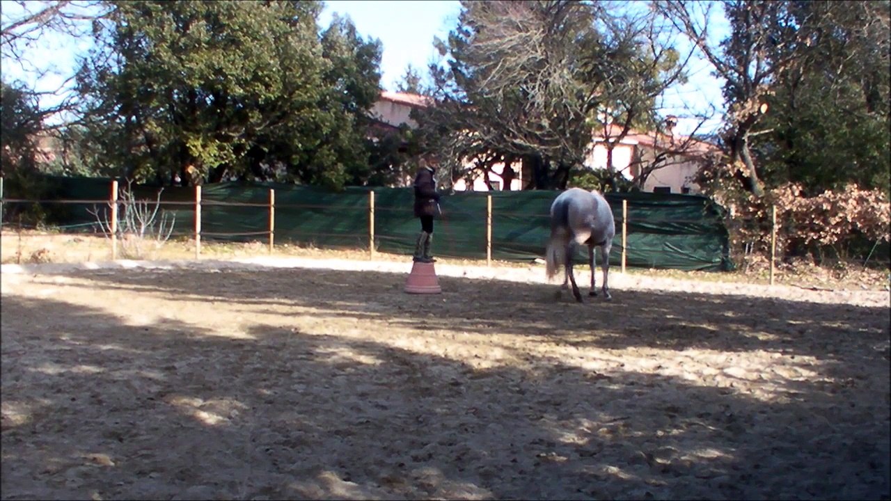 Challenge 2  "tu me fais tourner la tête" 1er mois