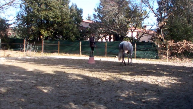 Challenge 2 tu me fais tourner la tête 1er mois