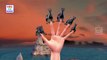 Finger Family Crazy Dinosaurs Nursery Rhyme | Dinosaurs Finger Family Songs For Children in 3D