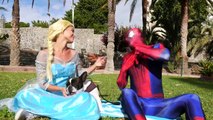Spiderman vs Joker vs Frozen Elsa Elsas Dog Kidnapped Real Life Superheroes Movie