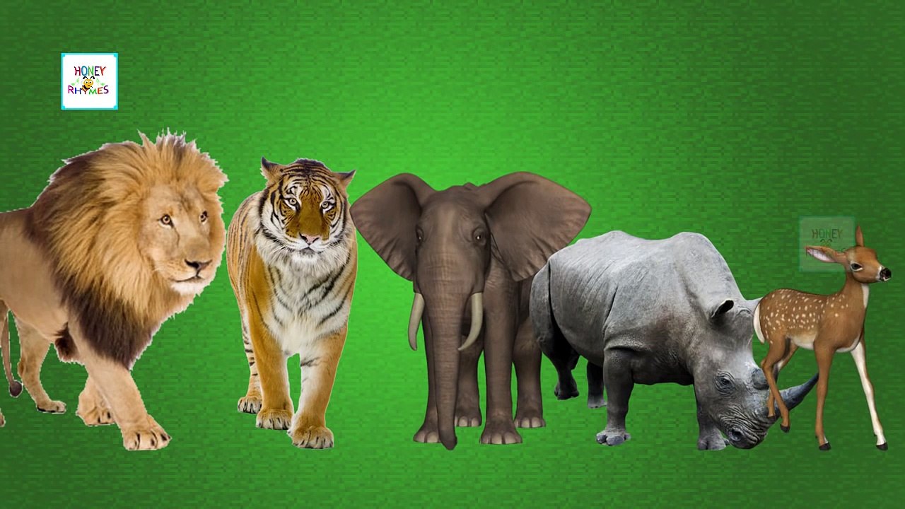 Сумасшедший палец семья животных забавный мультфильм анимация Finger Семья Дети потешки в 3D